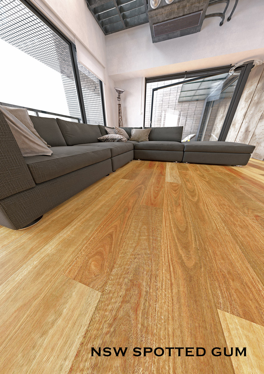 Abode_Prime_NSW_Spotted_Gum