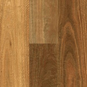 Abode Prime NSW Spotted Gum Swatch