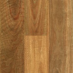 Abode Prime NSW Spotted Gum Swatch