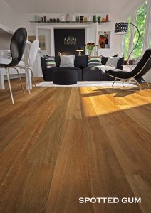 Plantino Native Spotted Gum