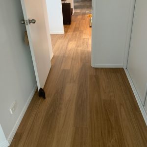 Rigid Plank Blackbutt