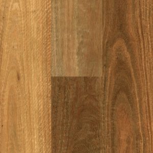 Southern_Spotted_Gum_Swatch_1000px