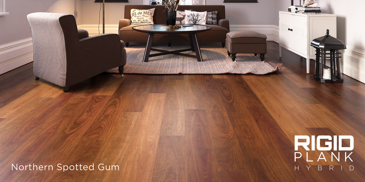 Rigid-Plank-header-Northern-Spotted-Gum