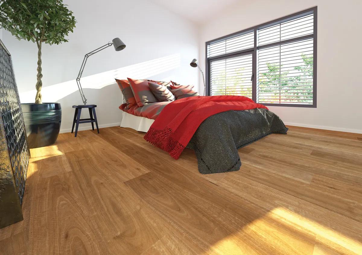 Northern Rivers SPOTTED GUM