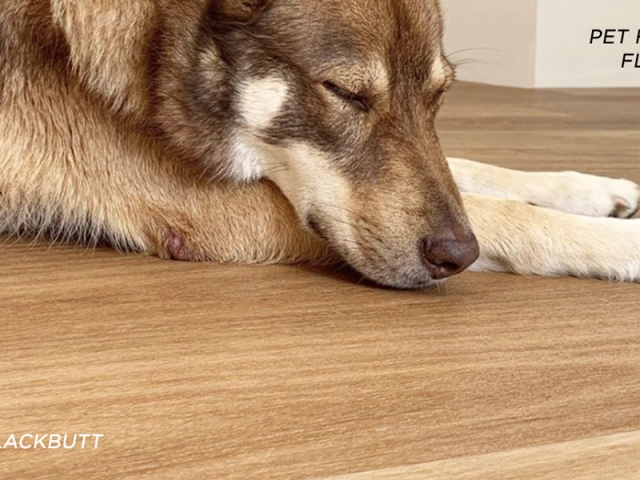 Rigid Plank Pet Friendly Floors Slider