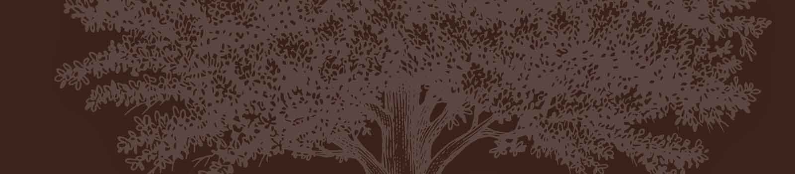 Web-banner-Hermitage-Inspire-1600x350