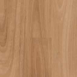 Bendalong Blackbutt