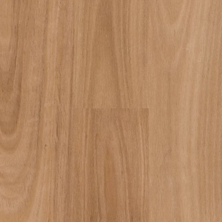Bendalong Blackbutt