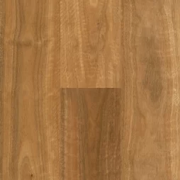 Northern Rivers Spotted Gum