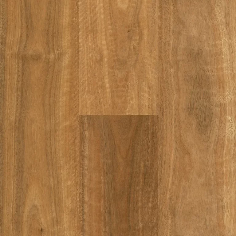 Northern Rivers Spotted Gum