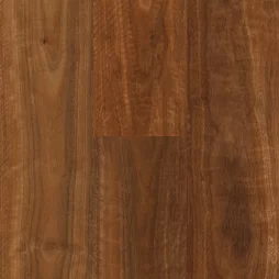 Tamborine Mountain Spotted Gum