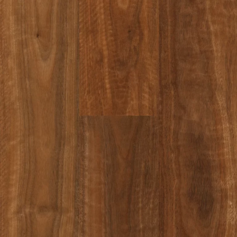 Tamborine Mountain Spotted Gum